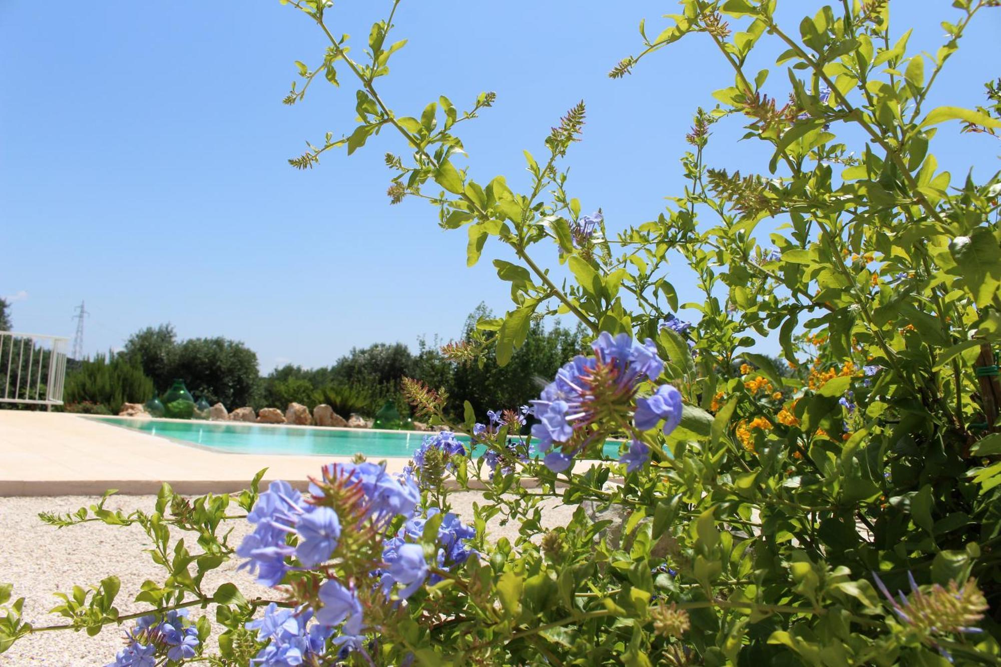 Trullo Il Melograno Casa de hóspedes Ostuni Exterior foto
