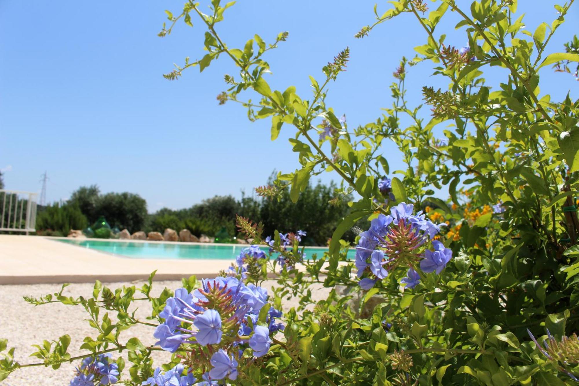 Trullo Il Melograno Casa de hóspedes Ostuni Exterior foto