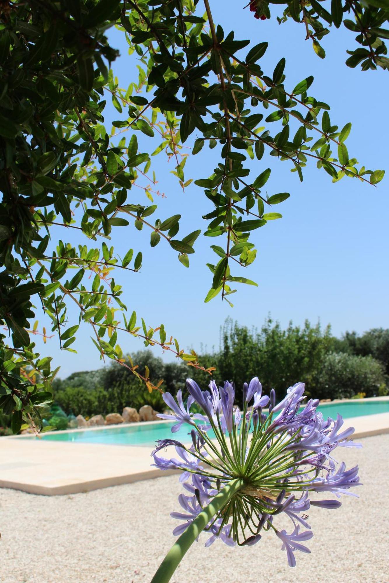 Trullo Il Melograno Casa de hóspedes Ostuni Exterior foto